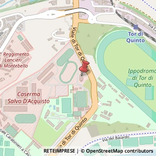Mappa Viale di Tor di Quinto, 119, 00191 Roma, Roma (Lazio)