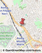 Via Trionfale, 8891,00135Roma