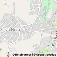 Map Roma
