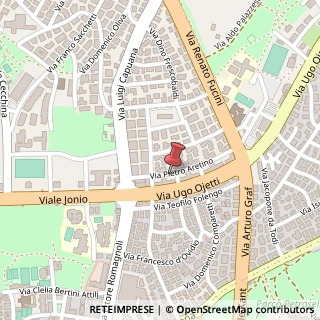 Mappa Via Pietro Aretino, 41, 00137 Roma, Roma (Lazio)