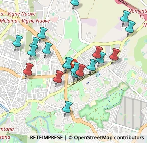 Mappa Via Carlo Lorenzini, 00137 Roma RM, Italia (0.9595)