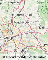 Agenzie di Animazione e Spettacolo Roma,00131Roma