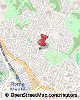 Via Angelo Fava, 29,00135Roma