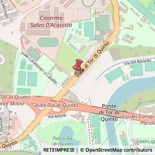 Mappa Viale tor di quinto 56/a, 00191 Roma, Roma (Lazio)