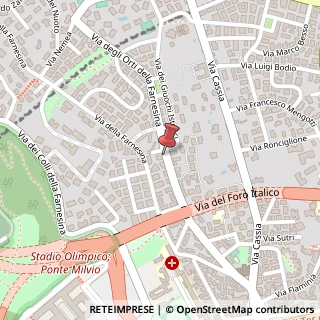 Mappa Via degli Orti della Farnesina, 107, 00135 Roma, Roma (Lazio)