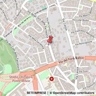 Mappa Via degli Orti della Farnesina, 171, 00135 Roma, Roma (Lazio)