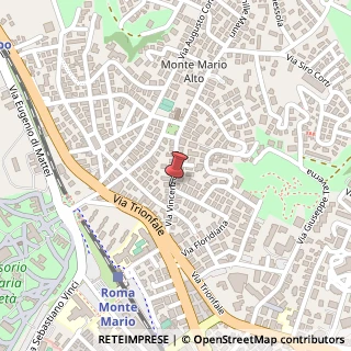 Mappa Via troya vincenzo 23/c, 00135 Roma, Roma (Lazio)