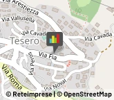 Scuole Pubbliche Tesero,38038Trento