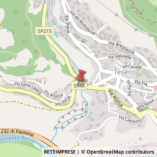 Mappa LOCALITA' VALLI, 5, 38038 Tesero, Trento (Trentino-Alto Adige)