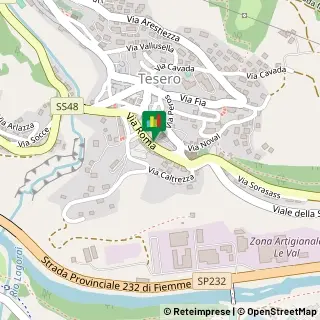 Via Roma, 78,38038Tesero