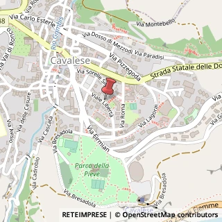 Mappa Viale Libertà, 8, 38033 Cavalese, Trento (Trentino-Alto Adige)