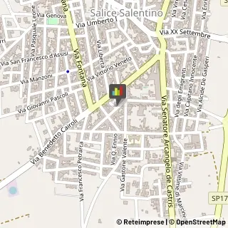 Podologia - Studi e Centri Squinzano,73015Lecce