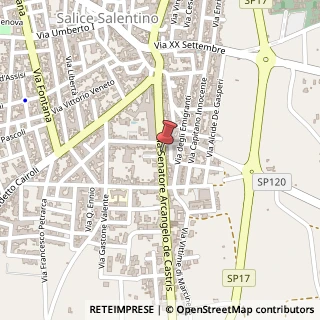 Mappa Via de Castris, 56, 73015 Salice Salentino, Lecce (Puglia)
