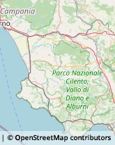 Valigerie ed Articoli da Viaggio - Dettaglio Vallo della Lucania,84078Salerno