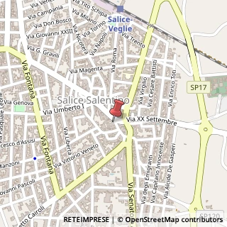 Mappa Via Vittorio Emanuele III, 16, 73015 Salice Salentino, Lecce (Puglia)