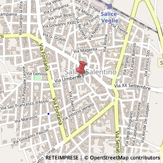 Mappa Via Umberto I, 19, 73015 Salice Salentino, Lecce (Puglia)