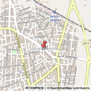 Mappa Via Umberto I,  4, 73015 Salice Salentino, Lecce (Puglia)
