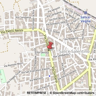 Mappa Via Fontana, 48, 73015 Salice Salentino, Lecce (Puglia)