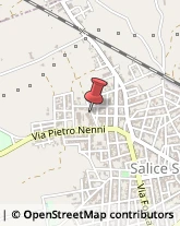 Viale Puglia, 6,73015Salice Salentino