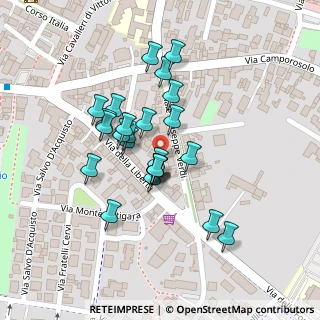 Mappa Via G. Verdi, 37047 San Bonifacio VR, Italia (0.076)