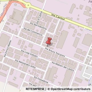 Mappa Via Toscanini Arturo, 46C, 46043 Castiglione delle Stiviere, Mantova (Lombardia)