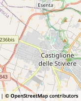 Autotrasporti Castiglione delle Stiviere,46043Mantova