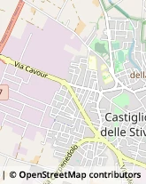 Autotrasporti Castiglione delle Stiviere,46043Mantova