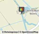Animali Domestici - Centri Allevamento e Addestramento,28060Novara