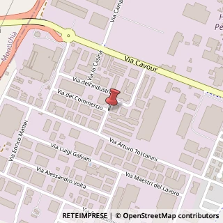 Mappa Via dell'Industria, 29, 46043 Castiglione delle Stiviere, Mantova (Lombardia)