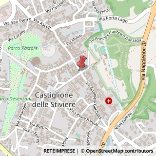 Mappa Via Pretorio, 30, 46043 Castiglione delle Stiviere, Mantova (Lombardia)