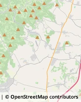 Autotrasporti Mossano,36024Vicenza