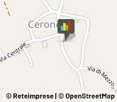 Cereali e Granaglie Strambino,10019Torino