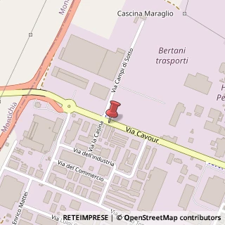 Mappa Via Camillo Benso Conte di Cavour, 97, 46043 Castiglione delle Stiviere, Mantova (Lombardia)