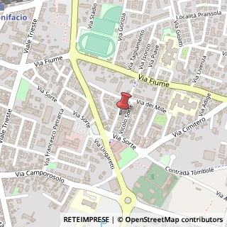 Mappa Via John Fitzgerald Kennedy,  10, 37047 San Bonifacio, Verona (Veneto)