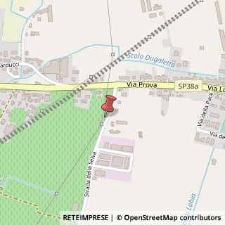 Mappa Strada della Selva, 55, 37047 San Bonifacio, Verona (Veneto)