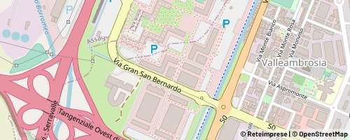 Mappa Rozzano