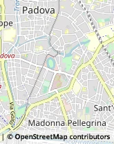 Frutta e Verdura - Dettaglio Padova,35125Padova