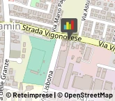 Frutta e Verdura - Dettaglio Padova,35127Padova
