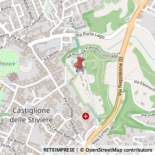 Mappa Via S. Carlo Borromeo, 46043 Castiglione delle Stiviere MN, Italia, 46043 Castiglione delle Stiviere, Mantova (Lombardia)