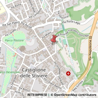 Mappa Ripa del Castello, 10, 46043 Castiglione delle Stiviere, Mantova (Lombardia)