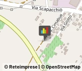 Consulenza del Lavoro,35030Padova