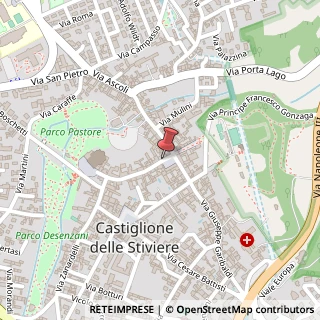 Mappa Piazza Ugo Dall?, 18, 46043 Castiglione delle Stiviere, Mantova (Lombardia)