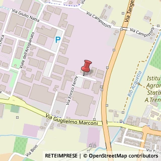 Mappa Via E. Fermi, 29, 36045 Lonigo, Vicenza (Veneto)