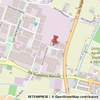 Mappa Via E. Fermi, 31, 36045 Lonigo, Vicenza (Veneto)