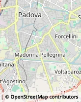 Ambulatori e Consultori Padova,35123Padova