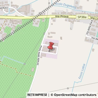 Mappa Strada della Selva, 83/85, 37047 San Bonifacio, Verona (Veneto)