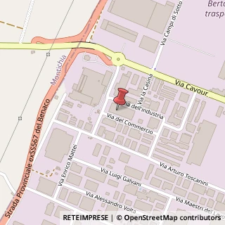 Mappa Via dell'Industria, 1, 46043 Castiglione delle Stiviere, Mantova (Lombardia)
