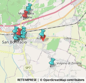Mappa Via Giacomo Puccini, 37047 San Bonifacio VR, Italia (2.26462)