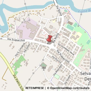 Mappa Via Scapacchiò, 672, 35030 Selvazzano Dentro, Padova (Veneto)