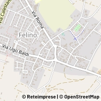 Mapa Felino
